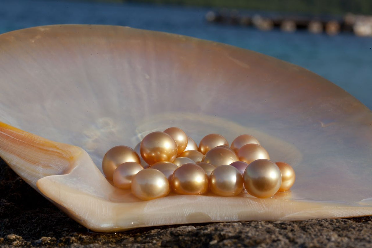 Amazing Pearl