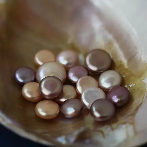 Button(1 Clam Include 3 Button Shape Freshwater Pearls）
